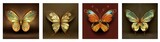 an elegant collection of art nouveau butterflies in pastel colours on brown background, Generative AI