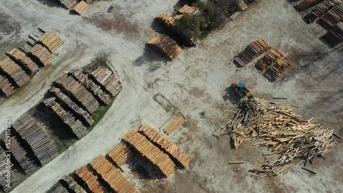 dry trees cut from the forest