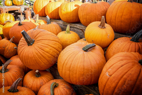 Pile of pumpkins for halloween decoration sold at a local farmer's market