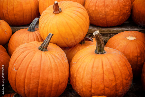 Pile of pumpkins for halloween decoration sold at a local farmer's market