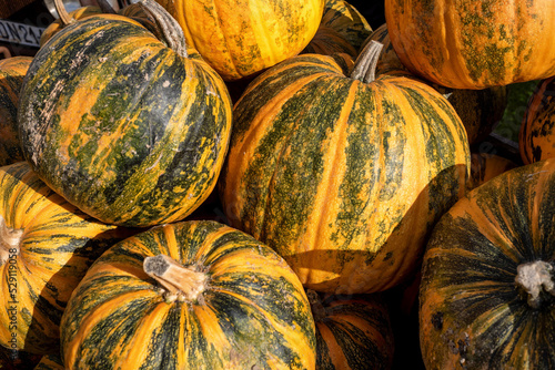 Pile of pumpkins for halloween decoration sold at a local farmer's market