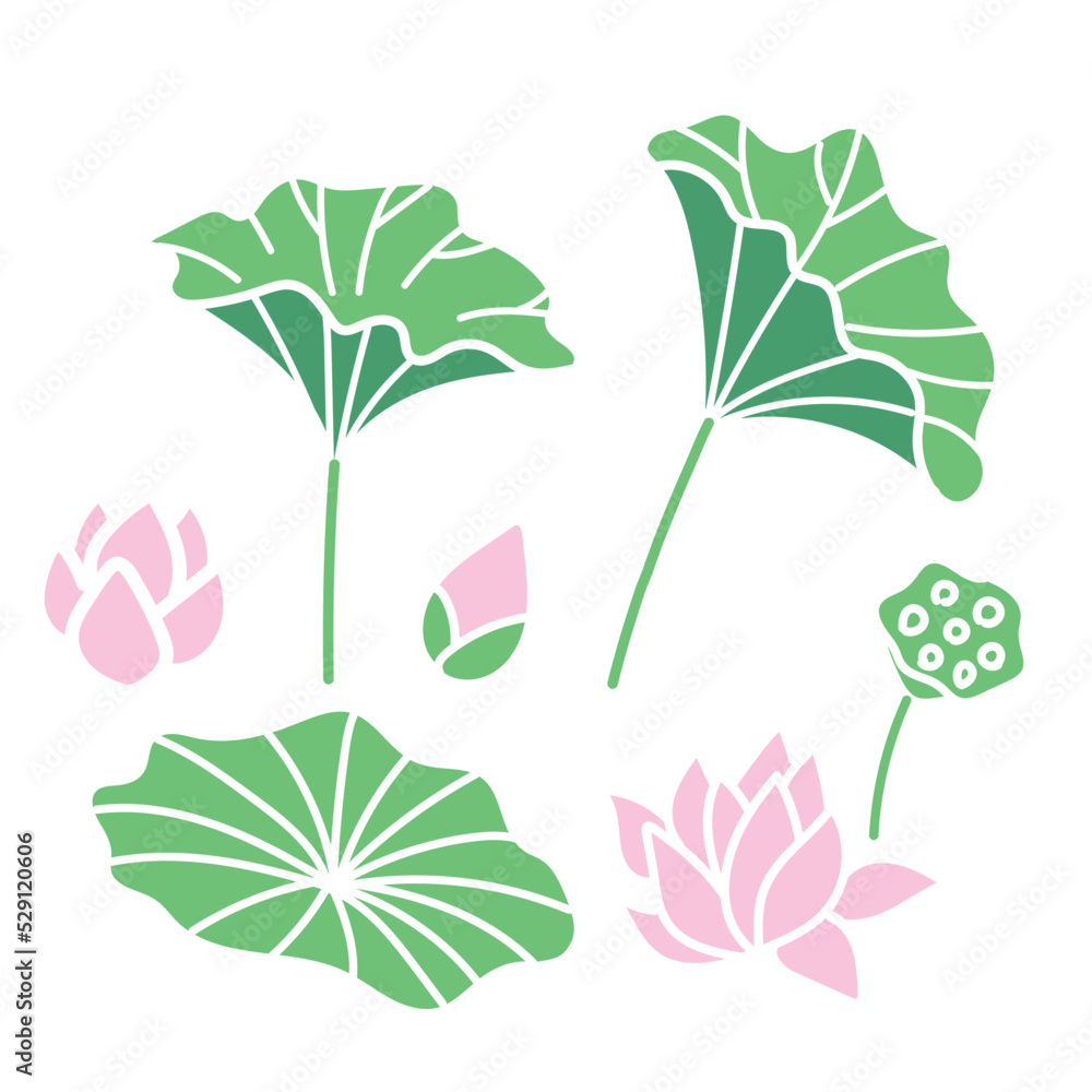 Obraz premium 蓮のイラスト６