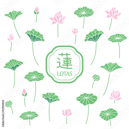 蓮のイラスト１