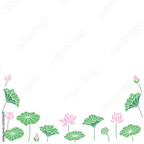 蓮のイラスト２