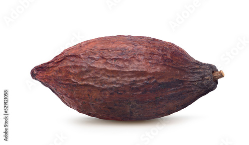 Dark red cocoa pod isolated on white background. Clipping path.
