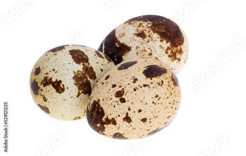 quail eggs isolated