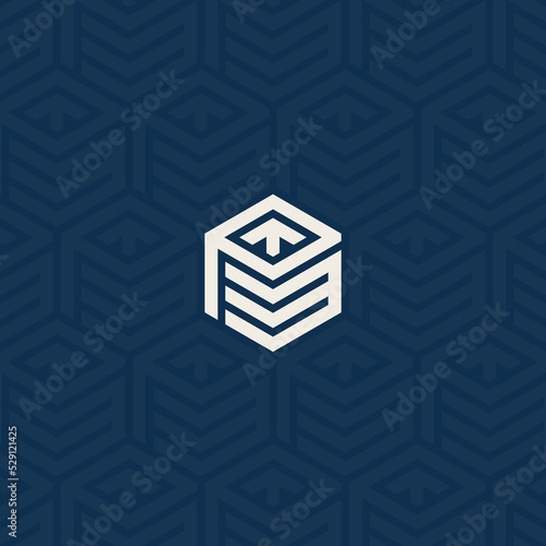 PMT, TPM or PM logo and up arrow symbol with background pattern design