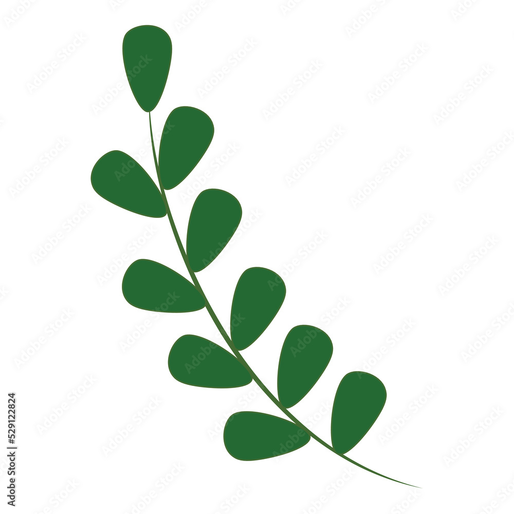 Isolated Green Leaves Branch Over White Background.