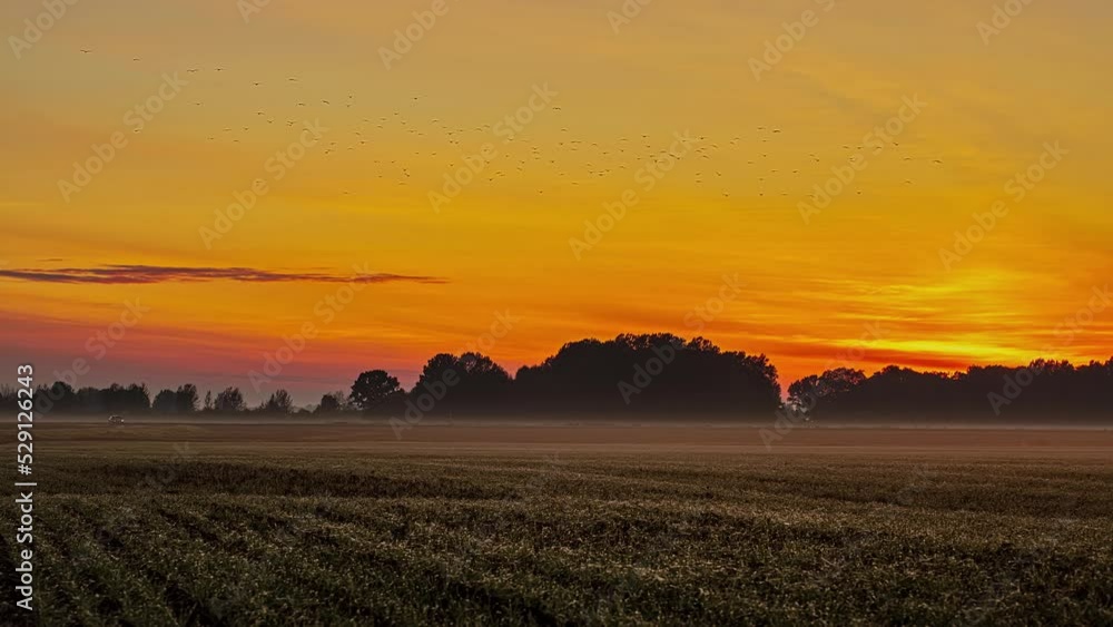Farmland fields during a golden sunset beyond the distant trees - time lapse Farmland fields during a golden sunset beyond the distant trees - time lapse