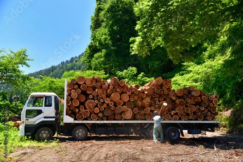 林業・国産材を出荷する photo