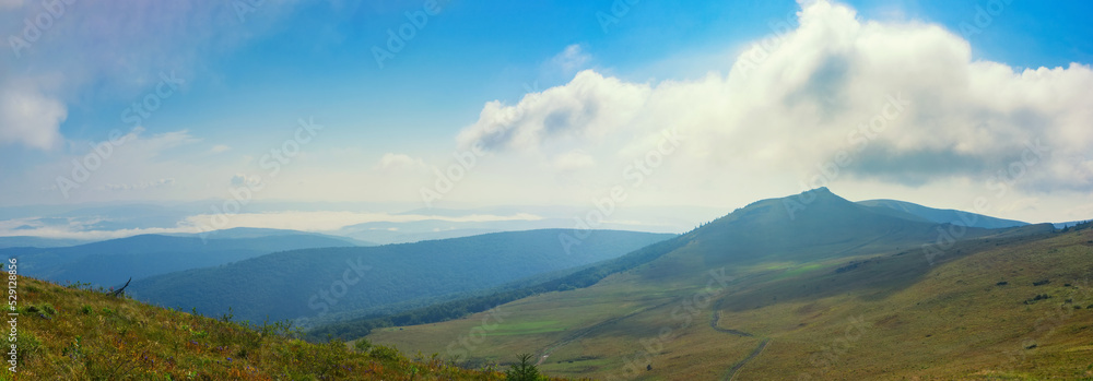 Beautiful panorama of the Carpathian Mountains with soft clouds. Summer mountain landscape