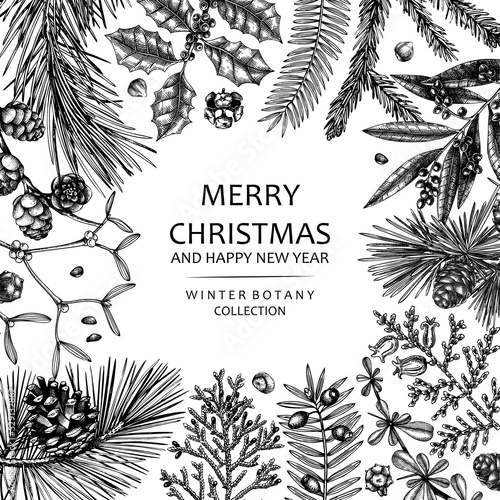 Merry Christmas card. Square frame with evergreen plants, conifers, and nuts drawing. Winter design with hand-drawn botanical illustrations. Christmas background, New Year invitation template