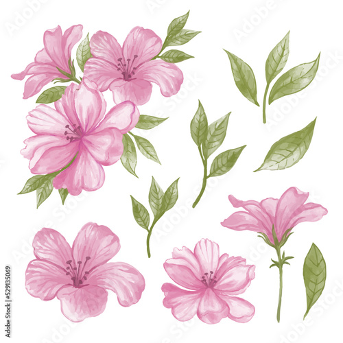 set of pink flowers