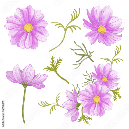 pink and white flowers isolated white background