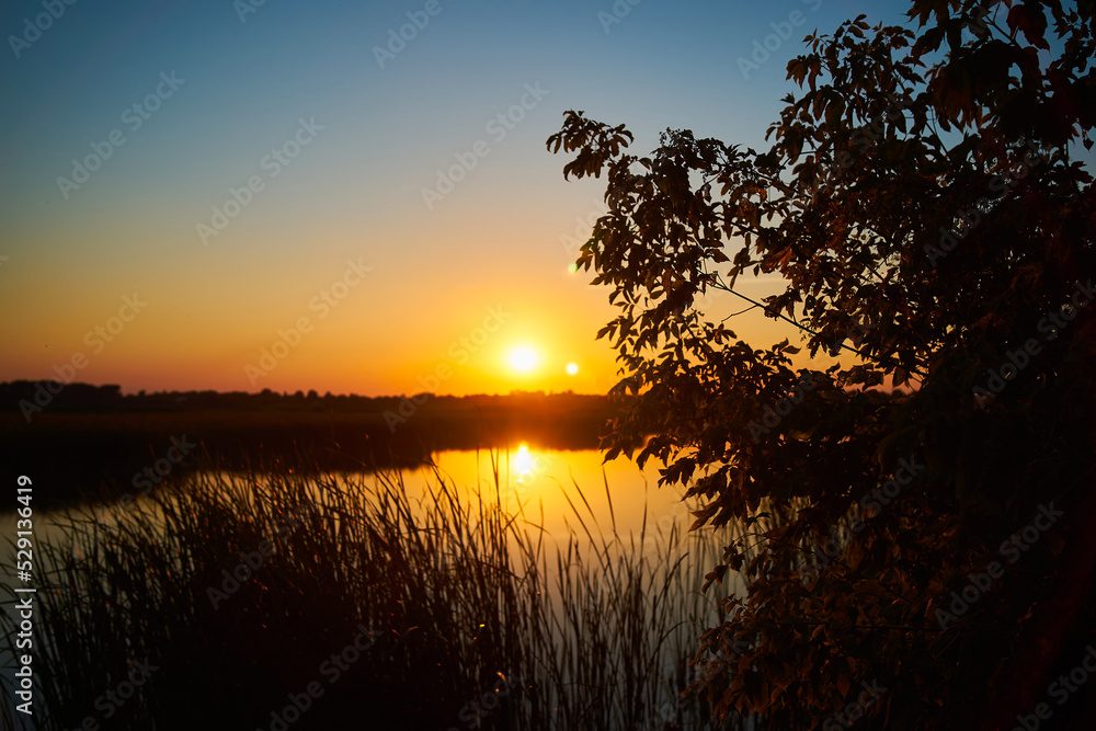 Naklejka premium Sunset over a river with a blue sky in the background and bulrush leaves in the foreground in defocus