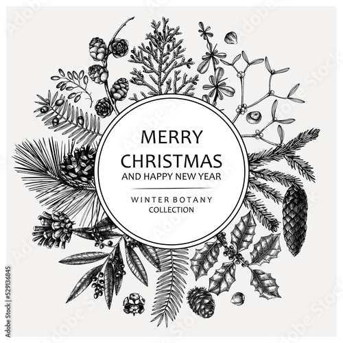 Merry Christmas card. Round wreath with evergreen plants, conifers, and nuts drawing. Winter design with hand-drawn botanical illustrations. Christmas background, New Year invitation template