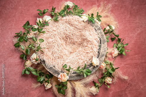 digital backdrop or background for newborn baby photography, newborn photo setup and decorations. High quality photo