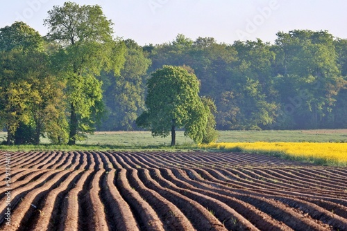 Landwirtschaft und Ackerbau