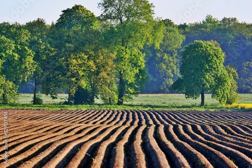 Landwirtschaft und Ackerbau