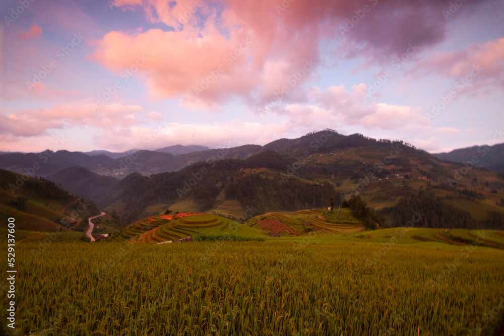 Fototapeta premium Rice fields on terraced of Mu Cang Chai, YenBai, Vietnam. Vietnam landscapes.
