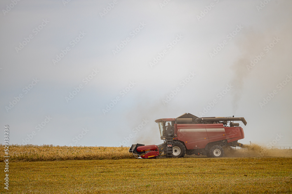 Fototapeta premium Moscow, Russia - August 30, 2022: harvester rides across the field harvests