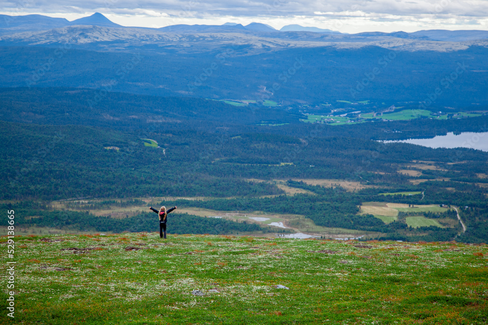Young child on a green meadow, embracing the world and the amazing mountainous scenery. Celebrating and enjoying the effort of climbing a high summit in the Northern Scandinavia. 