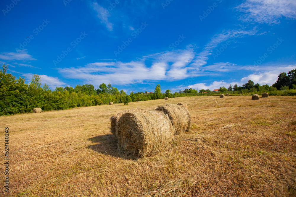 Countryside summer farmland nature landscape. Golden round hay bale on agriculture farm pastureland fields  after harvest. Rural scenery. Beautiful blue sky with clouds in background.	
