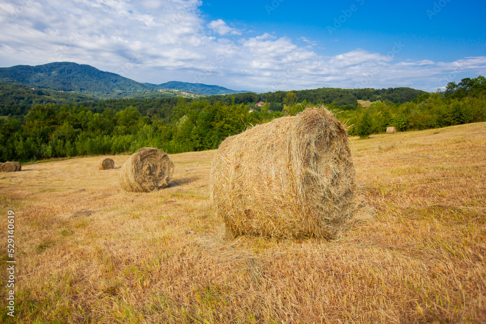 Countryside summer farmland nature landscape. Golden round hay bale on agriculture farm pastureland fields  after harvest. Rural scenery.	
