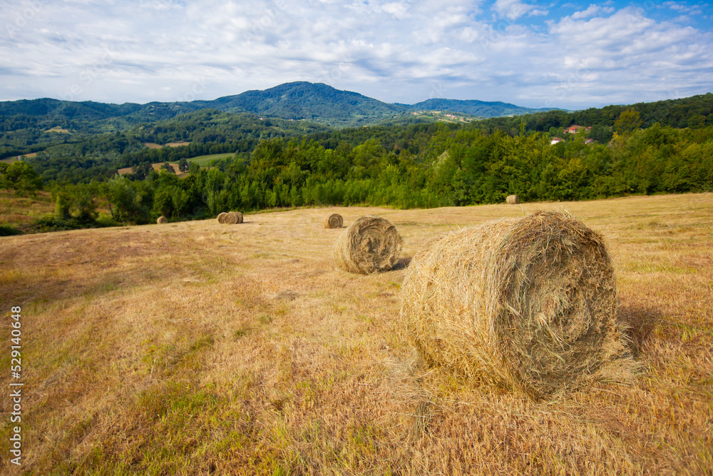 Countryside summer farmland nature landscape. Golden round hay bale on agriculture farm pastureland fields  after harvest. Rural scenery.	
