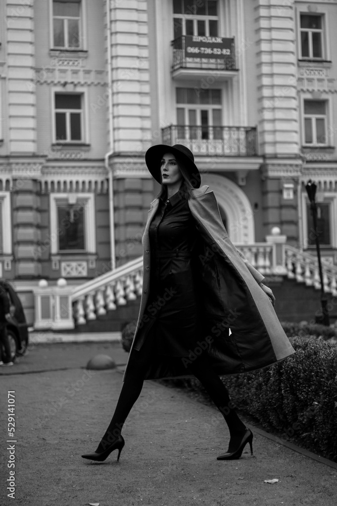 Naklejka premium very beautiful girl in the city