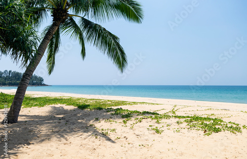 Tropical beach background  summer outdoor day light  relaxing by the sea