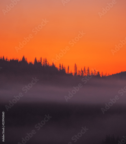 Carpatian mountains at the fog
