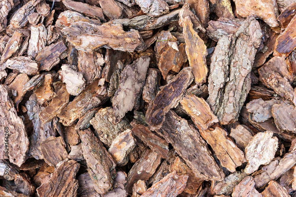 Wood chip bark chippings, texture background close up Wood chip bark chippings, texture background close up