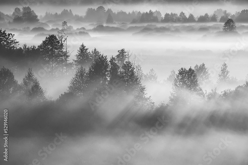 Mysterious Morning Time. Aerial View Amazing Misty Plain Landscape. Morning Fog Illuminated By Sun Covers Plain Landscape. Black And White Retro Bw Black White. Enchanted Morning Sun Shines On Plain.