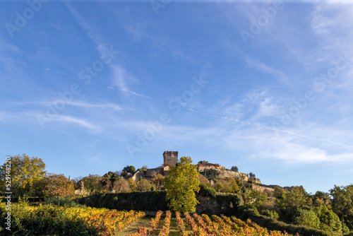 View of the Monterrei castle (10th-12th centuries) with some vineyards in the foreground. Verín, Galicia, Spain. photo