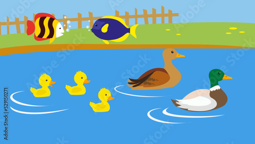 Ducks and ducklings swim in the pond, fish fly over the water