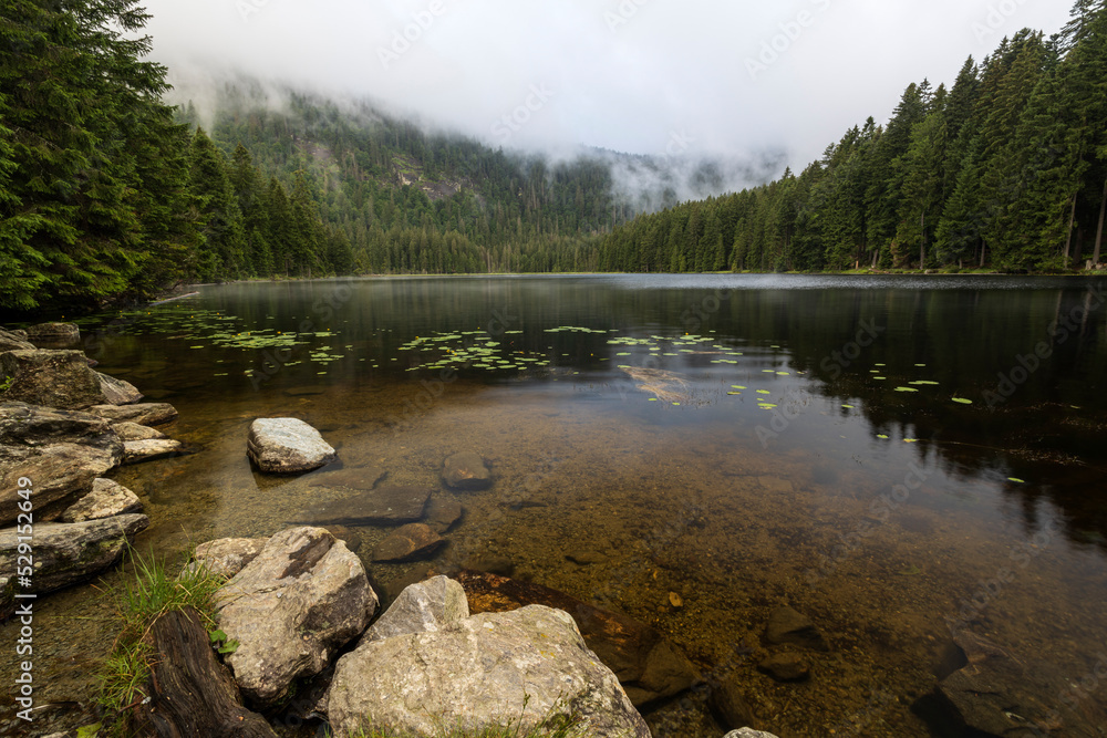 Nebliger, stimmungsvoller morgen am großen Arbersee Nebliger, stimmungsvoller morgen am großen Arbersee