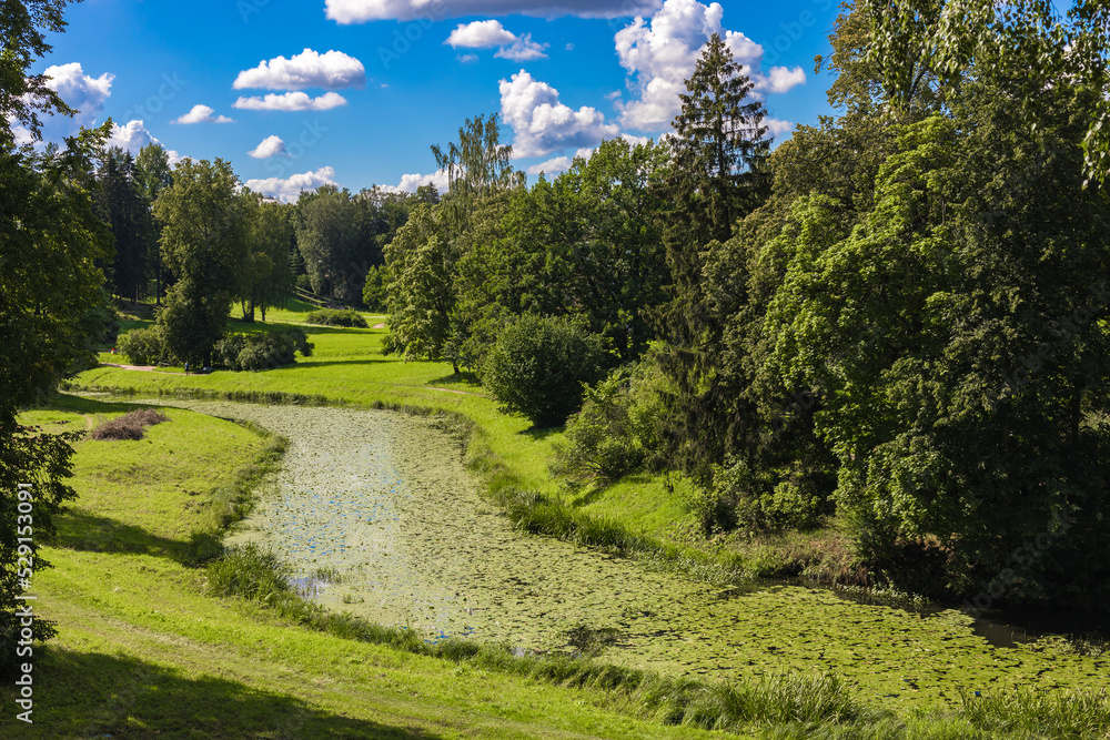 A river in a green park. Summer sunny panoramic view of a beautiful park in Pavlovsk. Russia, Saint Petersburg 