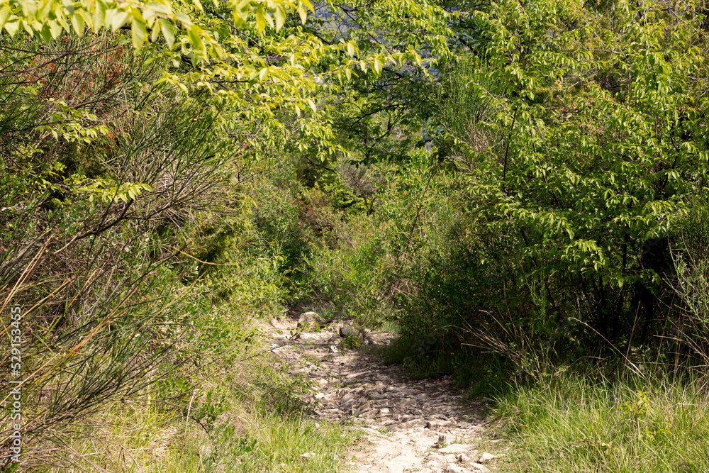 Hiking path, south of france