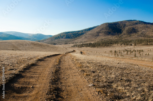 A dirt road in the middle of the field goes into the distance, to the mountains and forest.