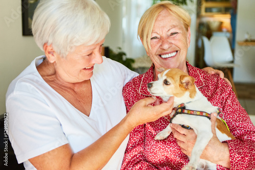 Glückliche Senioren haben Spaß mit einem kleinen Hund