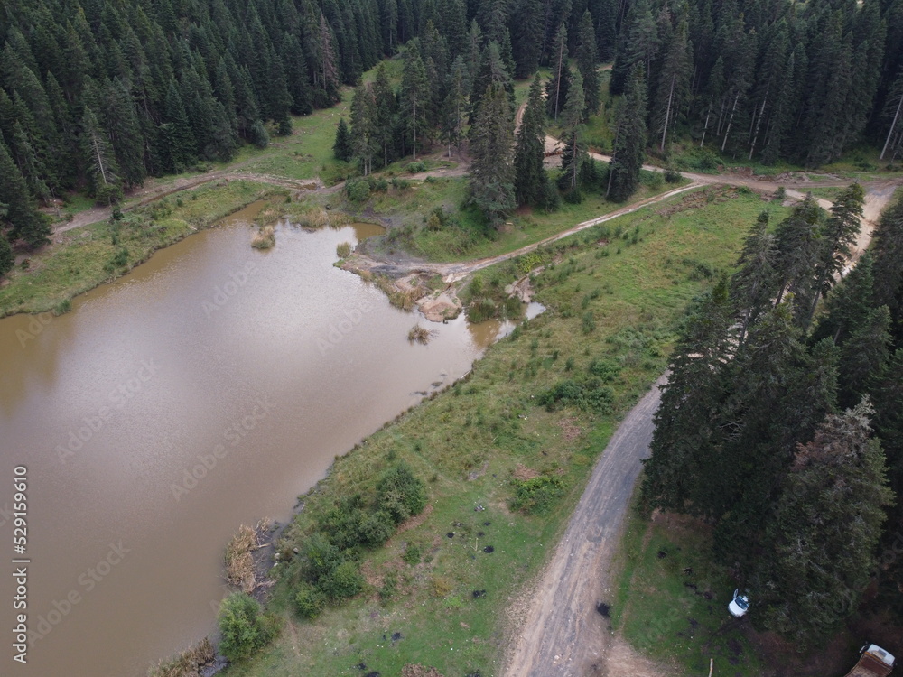 Obraz premium lake and forest