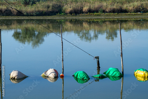 casal borsetti and porto corsini adriatic coast ravenna ferrara regional park of the po delta photo