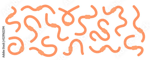 Set of curled earthworms. Compost earthworms illustration. Terrestrial annelids worms. Invertebrate crawling worms. Hand drawn vector illustration.