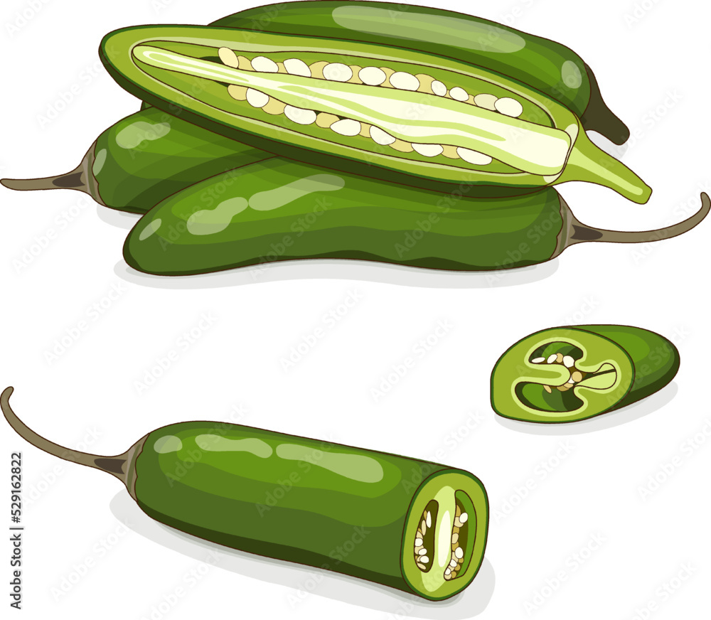 Whole, quarter, and half of green serrano Chile peppers. Chile serrano