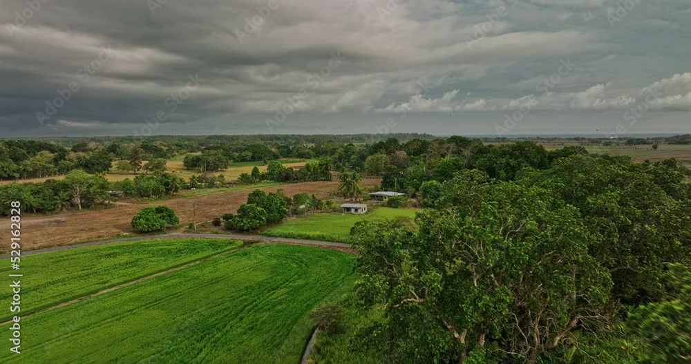 Guarumal Panama Aerial v3 low level drone flyover cultivated farmland towards the skyline with car driving on the country road with dark stormy clouds in the sky - Shot with Mavic 3 Cine - April 2022 Guarumal Panama Aerial v3 low level drone flyover cultivated farmland towards the skyline with car driving on the country road with dark stormy clouds in the sky - Shot with Mavic 3 Cine - April 2022