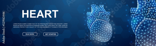 Heart polygonal horizontal banner. Cardiology low poly symbol for head promotion banner. Organ anatomy design template illustration concept.