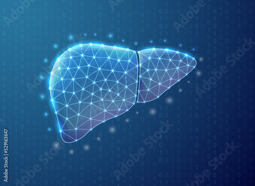 Liver polygonal symbol with binary code background. Hepatitis concept design illustration. Blue Organ anatomy low poly symbol with connected dots