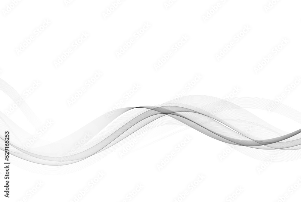 Obraz premium Gray wavy flow, abstract wave vector background