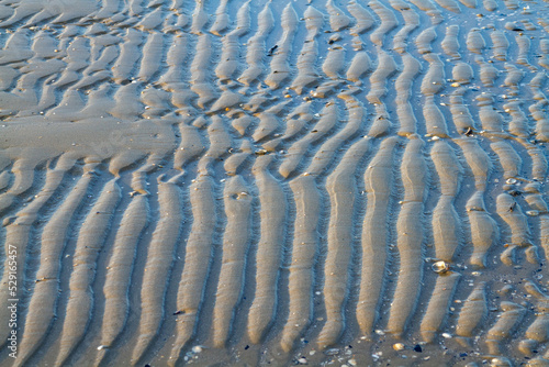 casal borsetti and porto corsini adriatic coast ravenna ferrara regional park of the po delta photo